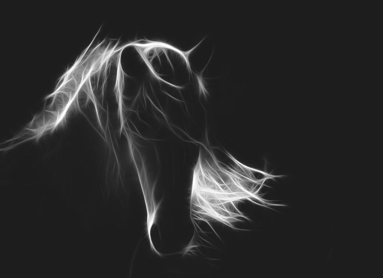 abstract horse